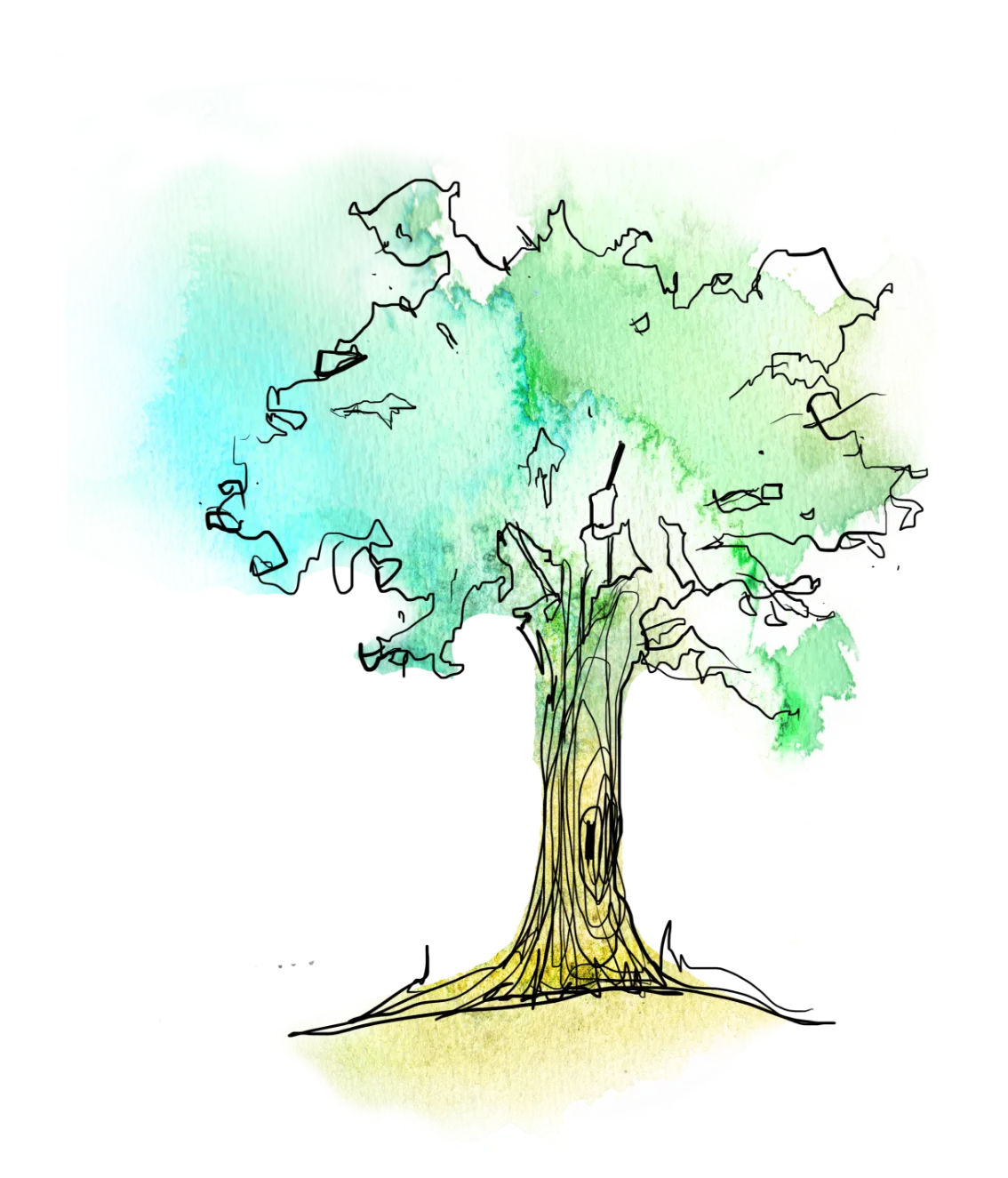Watercolour illustration of a tree